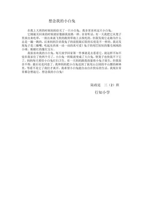想念我的小白兔