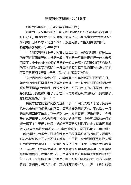 蚂蚁的小学观察日记450字（精选3篇）