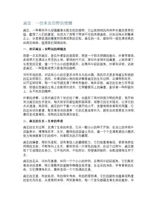 扁豆优秀作文