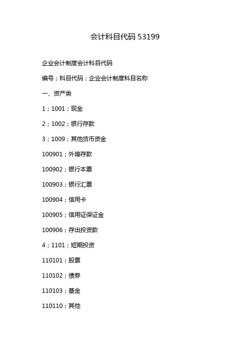 会计科目代码53199