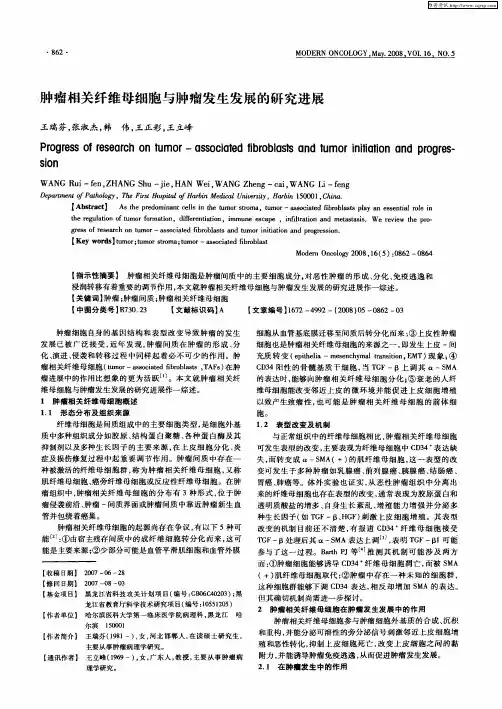 肿瘤相关纤维母细胞与肿瘤发生发展的研究进展