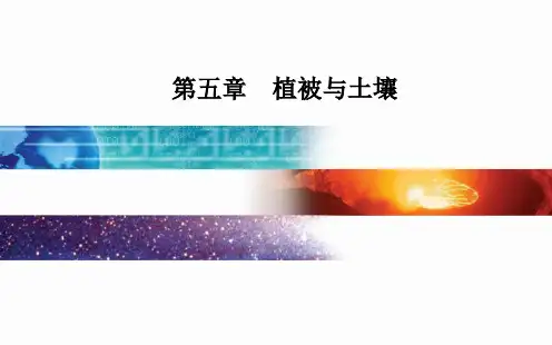 植被课件(新教材)人教版必修一地理PPT(39页)