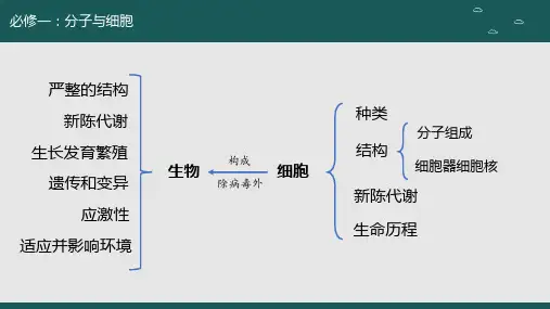 高三生物一轮复习课件走近细胞(第一课时)