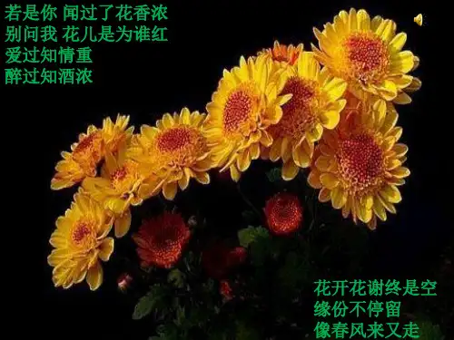 宫颈癌---业务学习1