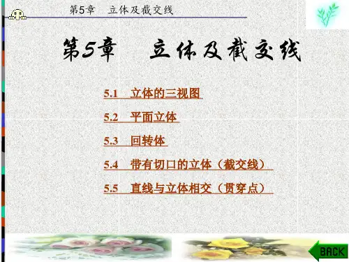 机械制图与CAD(含习题集)( (5)