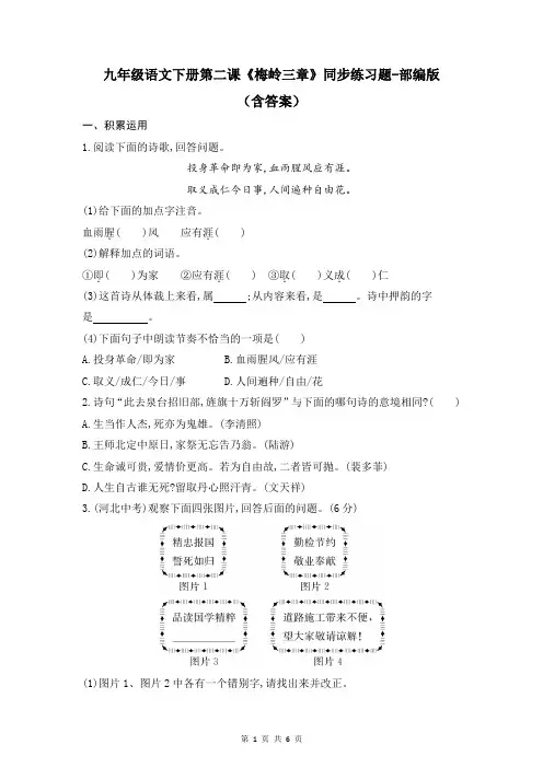 九年级语文下册第二课《梅岭三章》同步练习题-部编版(含答案)