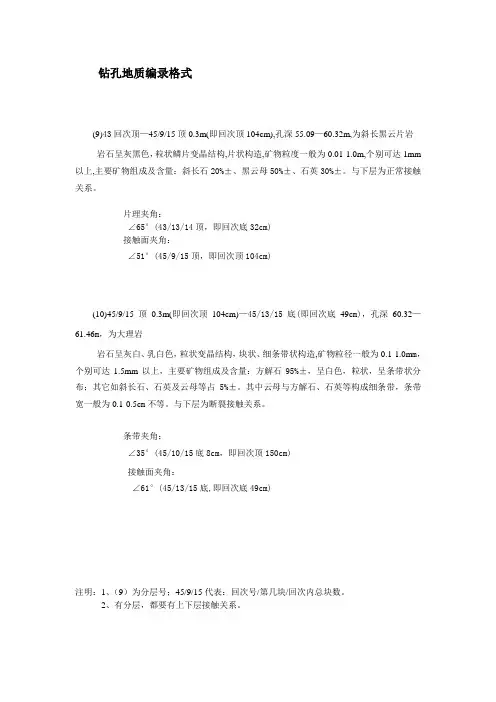 钻孔地质编录格式