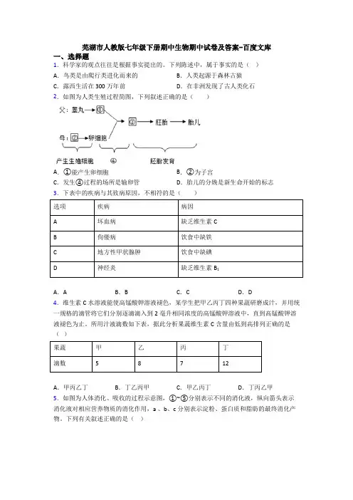 芜湖市人教版七年级下册期中生物期中试卷及答案-百度文库