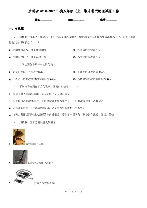贵州省2019-2020年度八年级(上)期末考试物理试题B卷