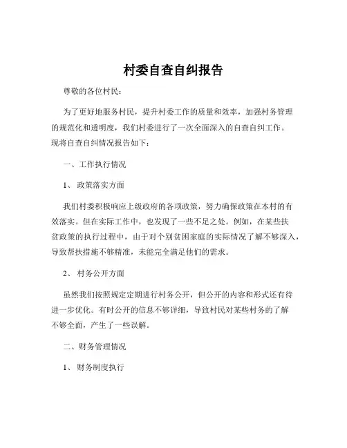村委自查自纠报告