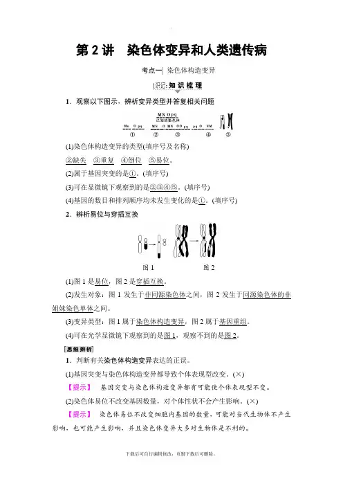 2021高考人教版生物一轮复习讲义：必修2 第7单元 第2讲 染色体变异和人类遗传病
