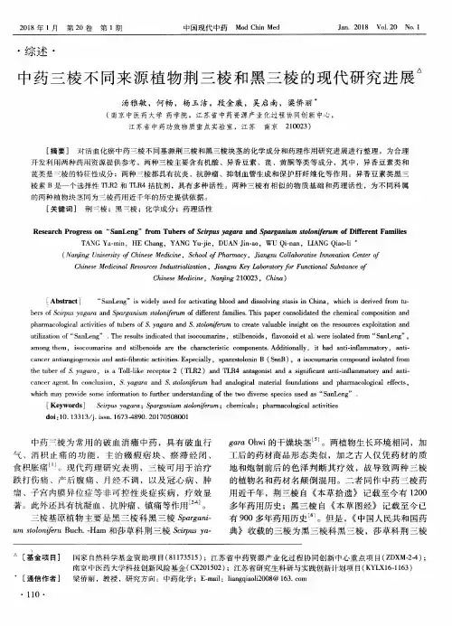 中药三棱不同来源植物荆三棱和黑三棱的现代研究进展