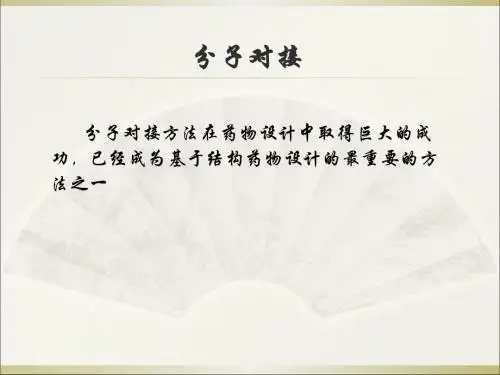 分子对接-PPT精品