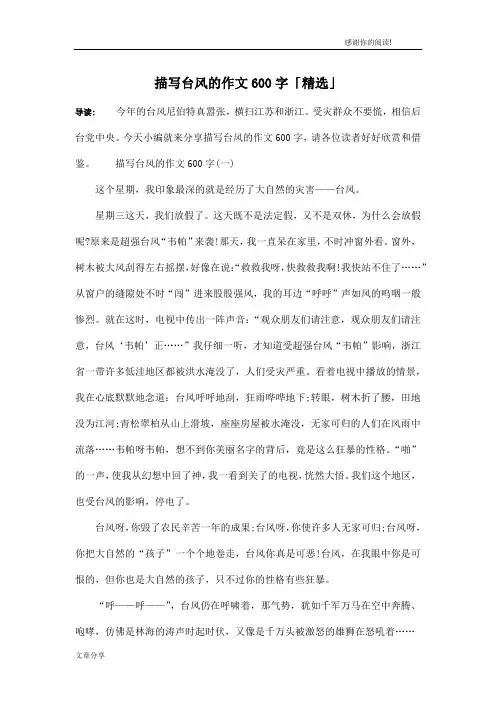 描写台风的作文600字「精选」