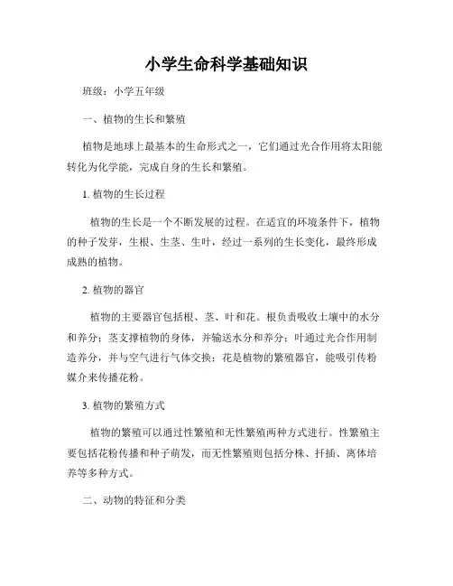 小学生命科学基础知识