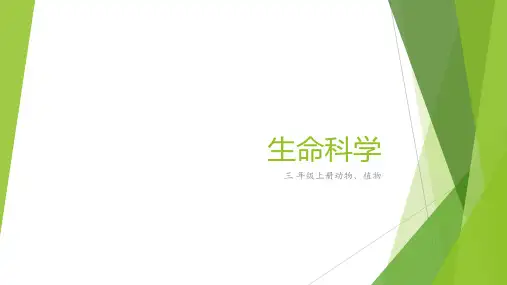 教科版三年级上册科学动植物知识整理