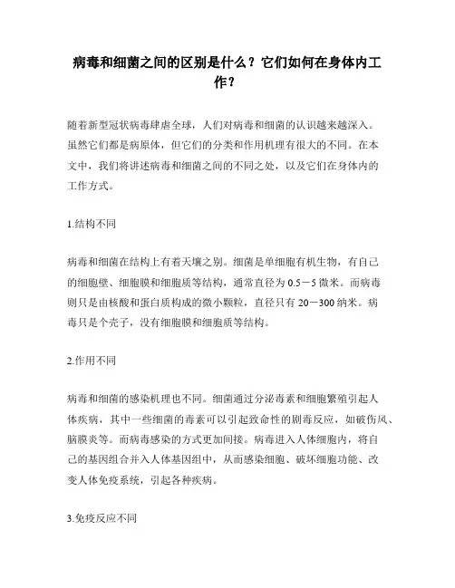 病毒和细菌之间的区别是什么？它们如何在身体内工作？