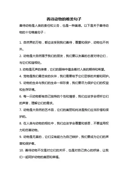 善待动物的唯美句子