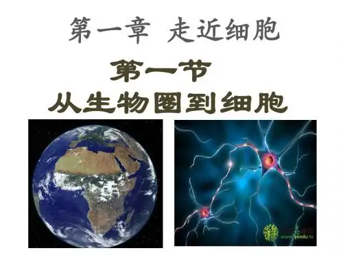 第一章第一节从生物圈到细胞