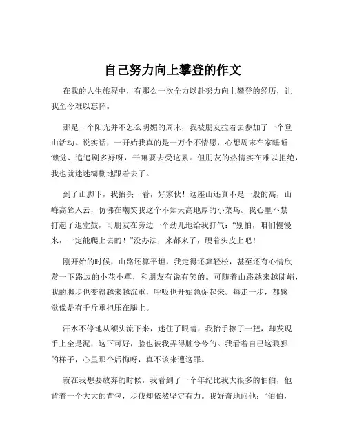 自己努力向上攀登的作文
