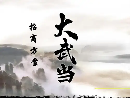 电影招商方案范例