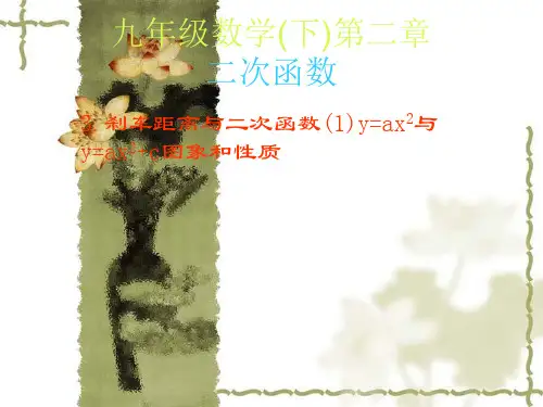 初中九年级数学  刹车距离与二次函数课件