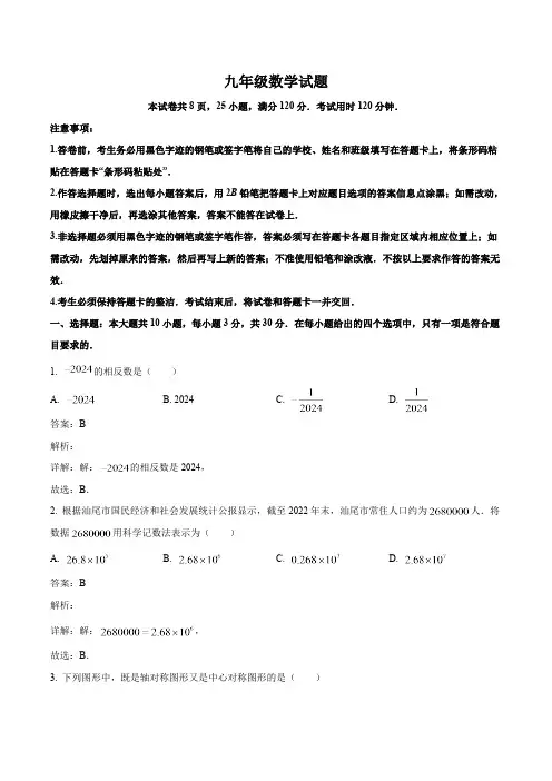 广东省汕尾市2024届九年级下学期中考二模数学试卷(含解析)