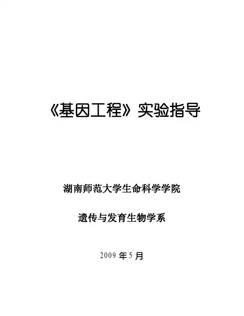 基因工程试验指导