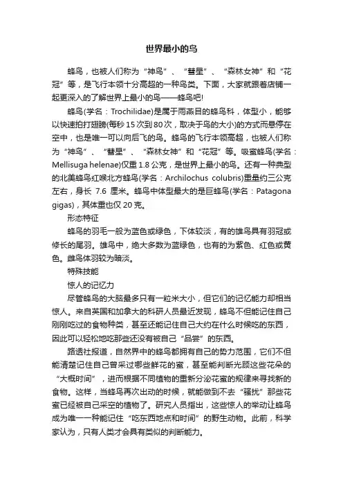 世界最小的鸟