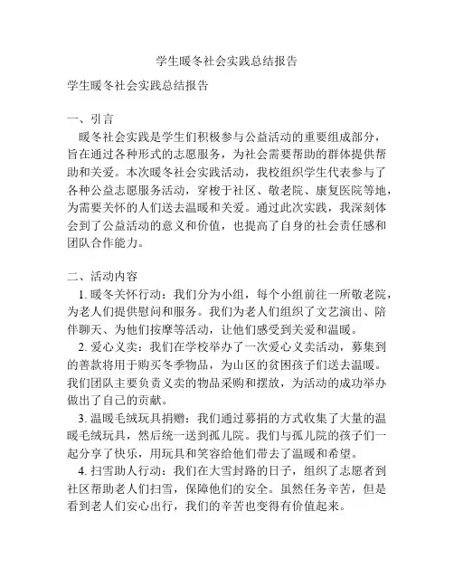 学生暖冬社会实践总结报告