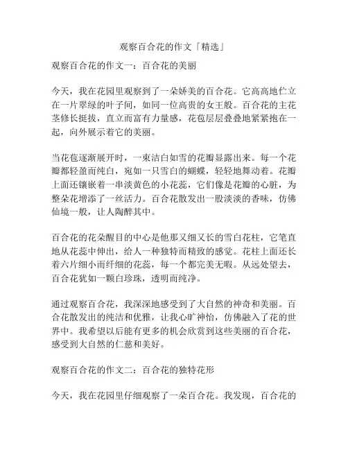观察百合花的作文「精选」