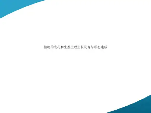 植物的成花和生殖生理生长发育与形态建成
