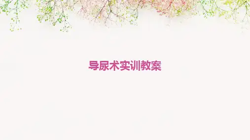 导尿术实训教案