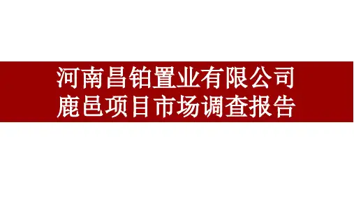 鹿邑调查报告