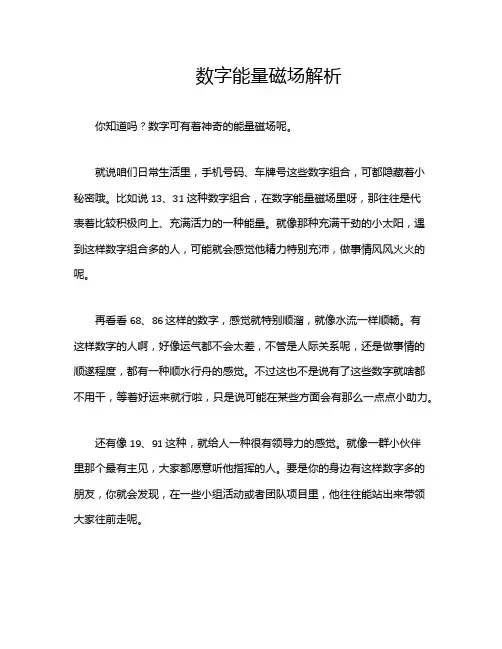 数字能量磁场解析
