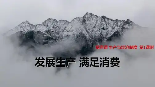 人教版高中政治必修1精品课件19：4.1 发展生产 满足消费