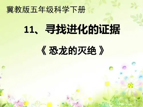 五年级下册科学课件-11寻找进化的证据 冀教版 (共24张PPT)