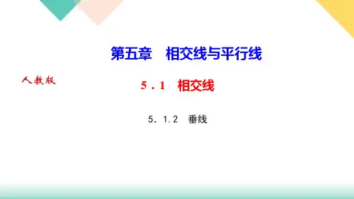 《垂线》_PPT1