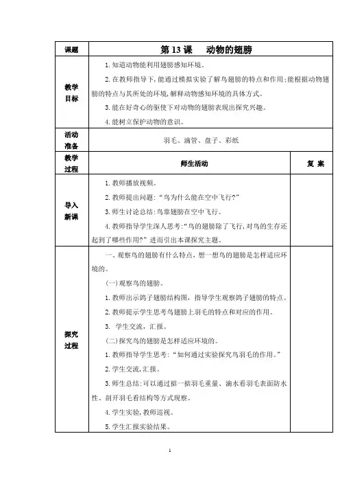 青岛版科学二下 第13课 动物的翅膀 教案(表格式)