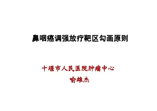 鼻咽癌调强放疗靶区勾画原则