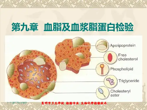 第九章 血脂及血浆脂蛋白检验