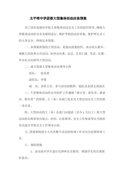 大型集体活动安全应急预案