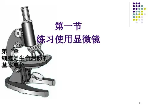 练习使用显微镜(优秀版)ppt课件