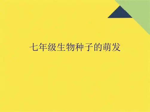 七年级生物种子的萌发(共10张PPT)