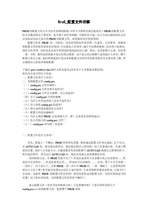 RroE_配置文件详解