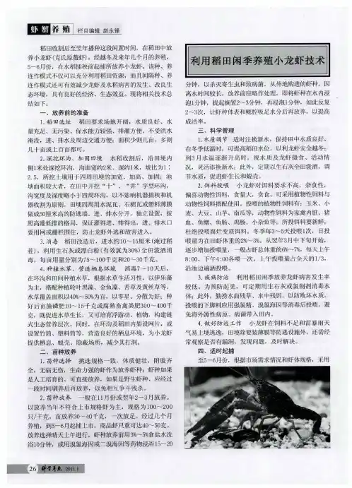 利用稻田闲季养殖小龙虾技术