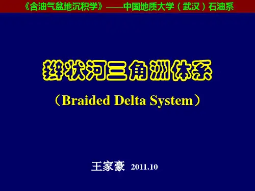 辫状河三角洲体系