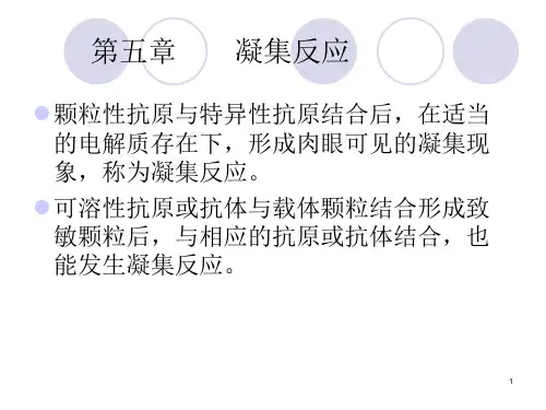凝集反应、沉淀反应