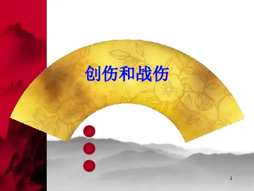 创伤和战伤PPT