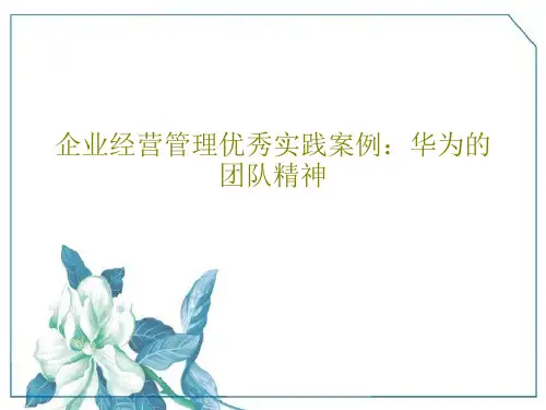 企业经营管理优秀实践案例：华为的团队精神32页文档